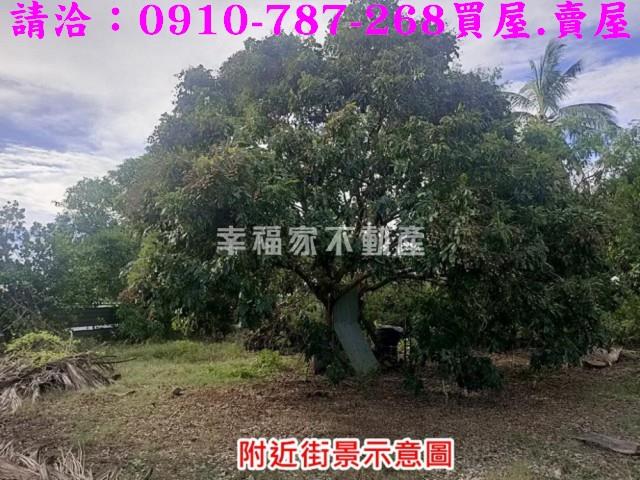 台南歸仁農地-12