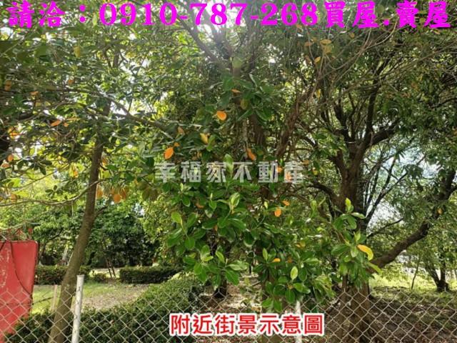 台南歸仁農地-13