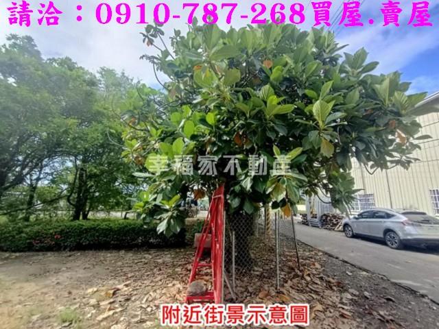台南歸仁農地-3