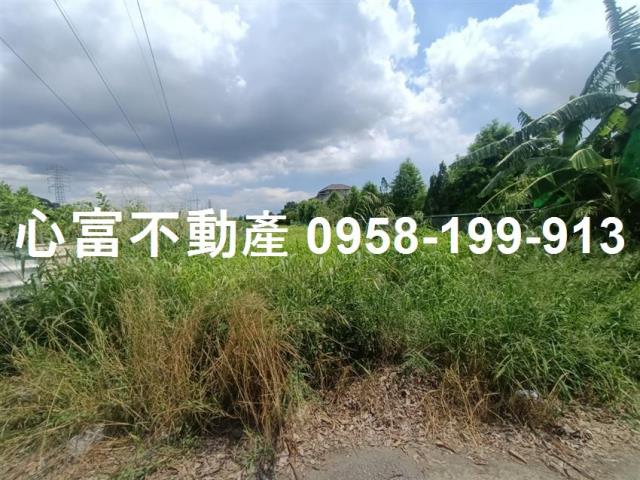 高雄農地-1