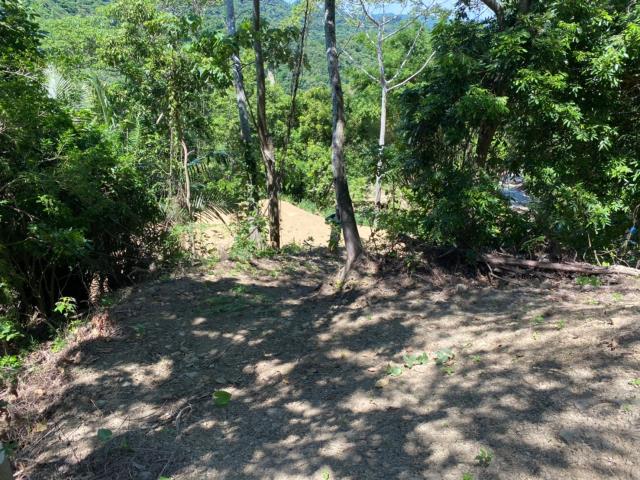 台中太平山坡地-1