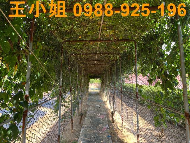 桃園農地-1