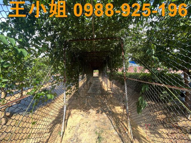 桃園農地-2