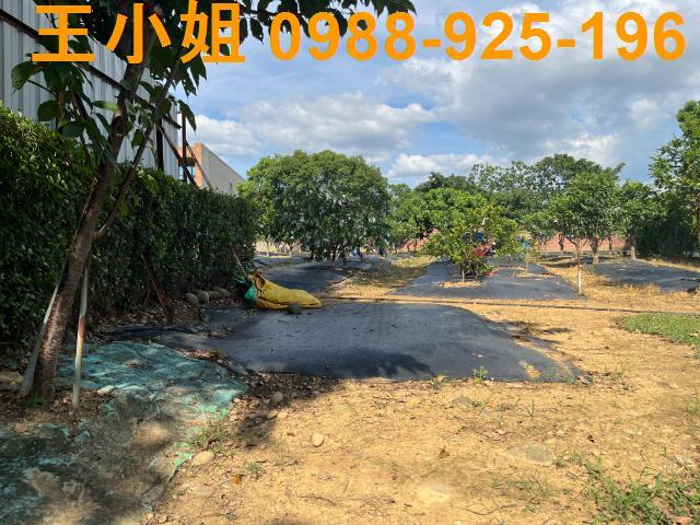 桃園農地-4