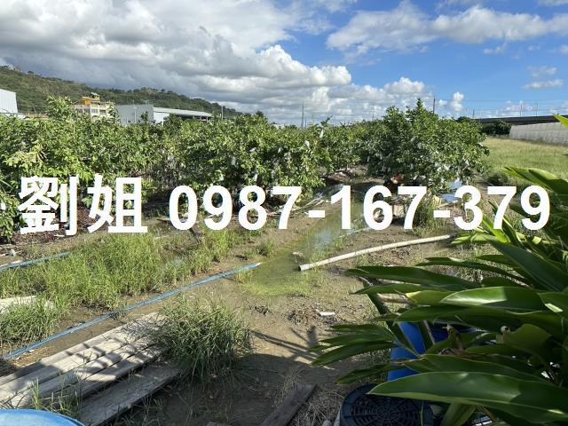 岡山農地-1