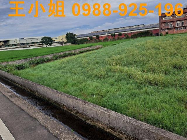 中壢農地-2