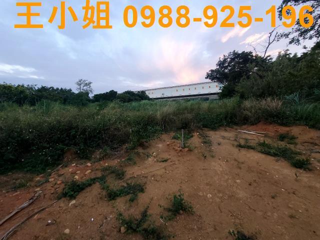 中壢農地-3