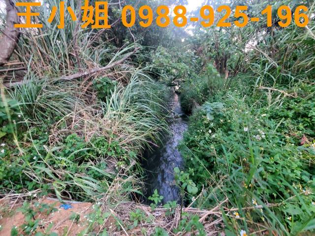 中壢農地-4