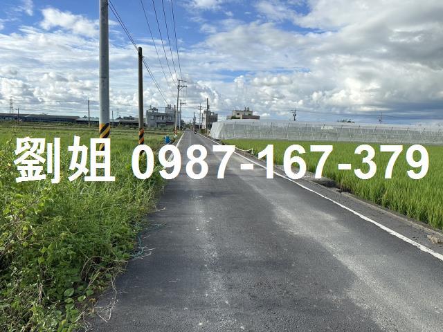 阿蓮農地-1