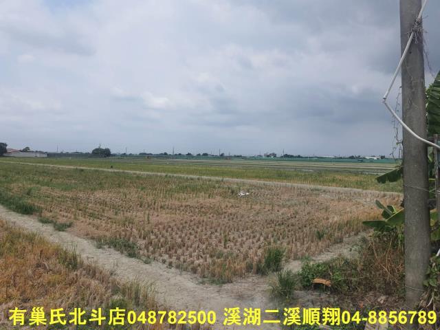 二崙農地-5