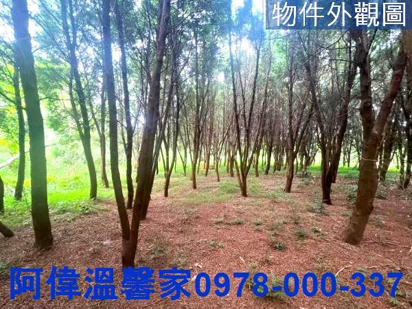 新竹新埔農地-1