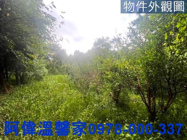 新竹新埔農地-2
