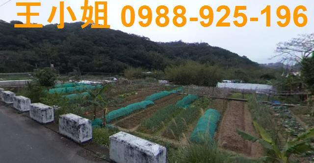 桃園蘆竹農地-1