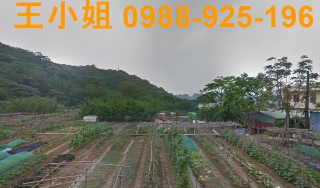桃園蘆竹農地-2