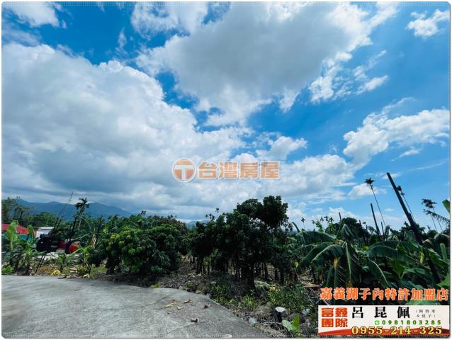 嘉義番路農地-2