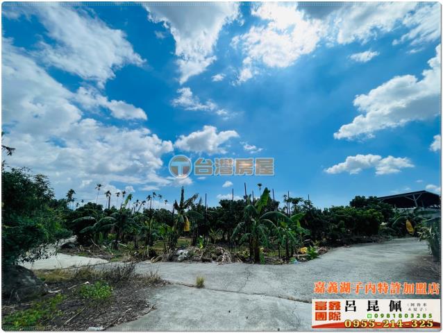 嘉義番路農地-3