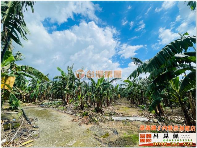 嘉義番路農地-4