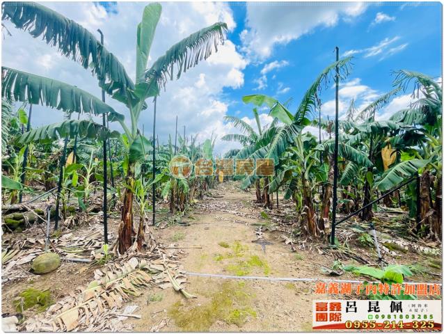 嘉義番路農地-5