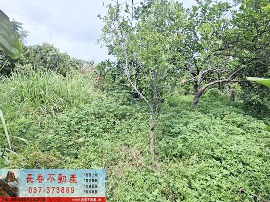 苗栗市農地-2