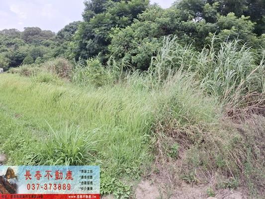 苗栗市農地-3