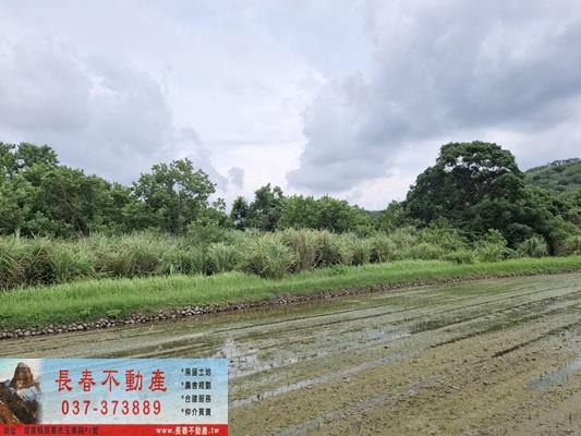 苗栗市農地-4