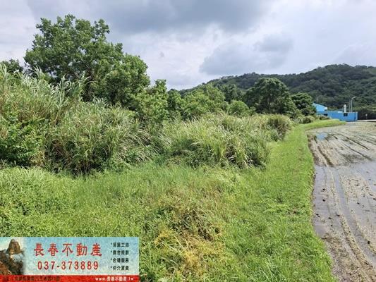 苗栗市農地-8