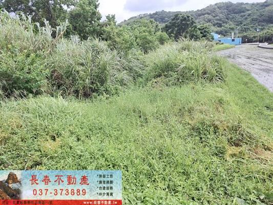 苗栗市農地-9