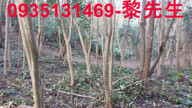 苗栗農地-14
