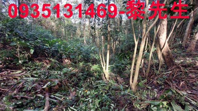 苗栗農地-1