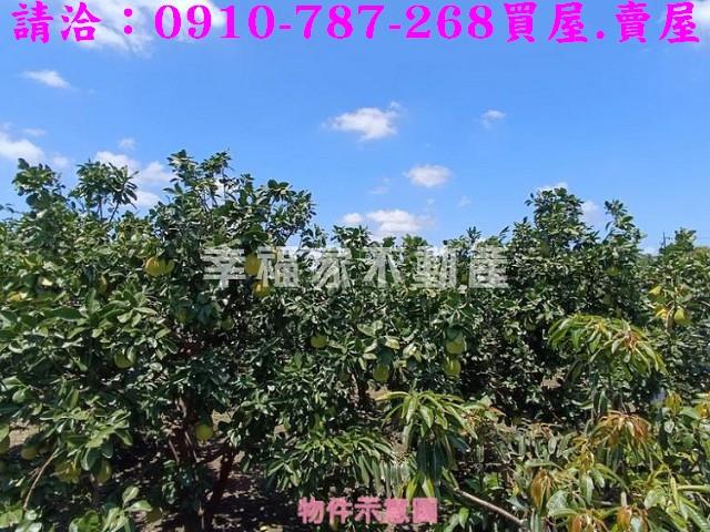 台南麻豆農地-5