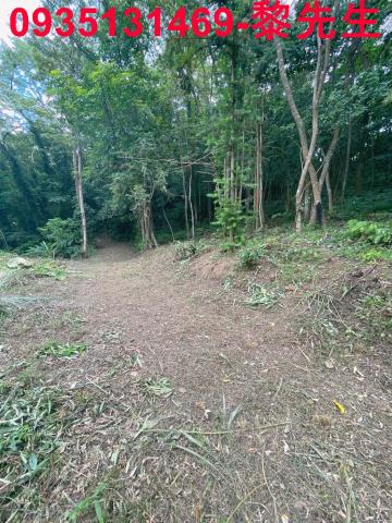 苗栗三灣農地-2