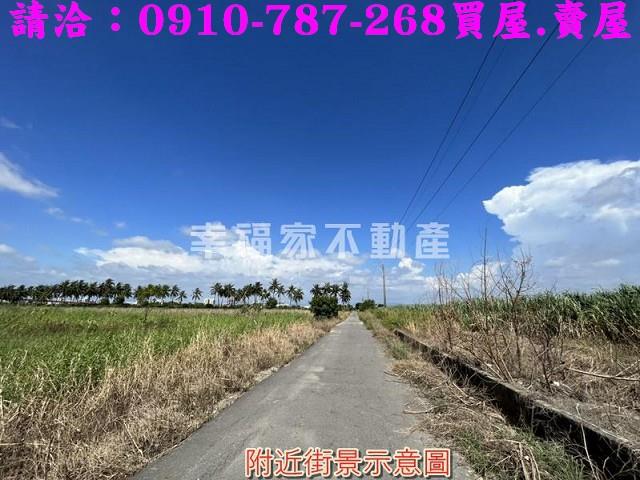 新市農地-3