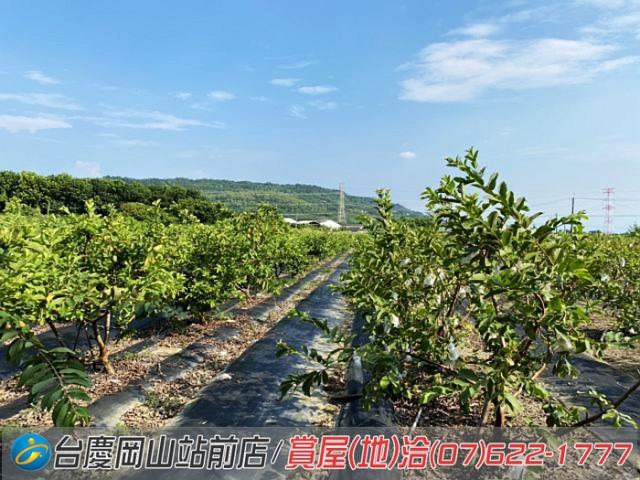 高雄農地-10
