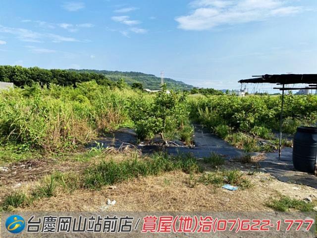 高雄農地-11