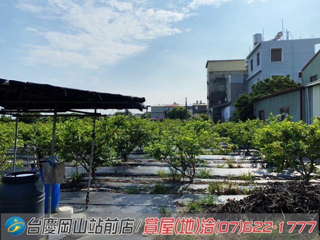 高雄農地-2