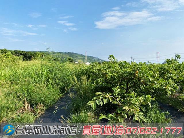 高雄農地-4