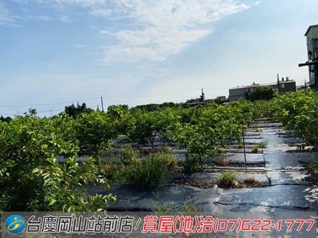 高雄農地-8