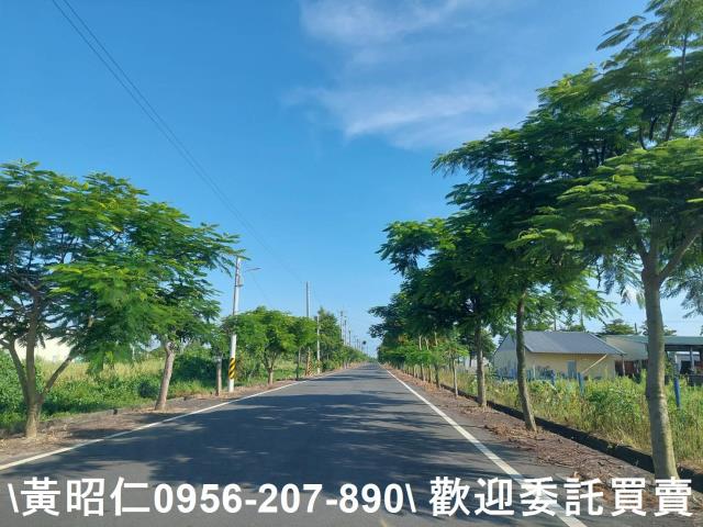 台南七股農地-10
