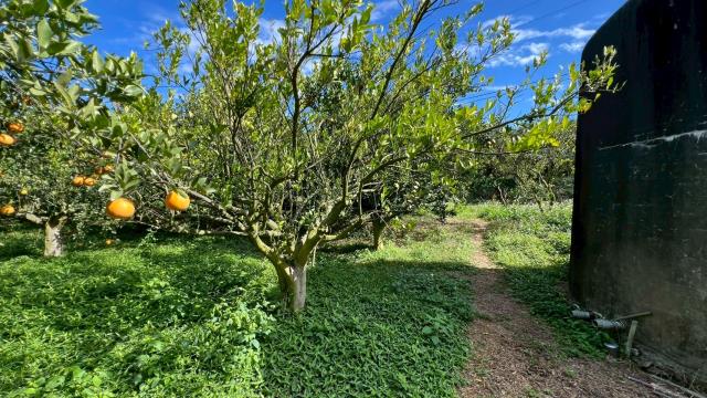 新竹峨眉農地-14