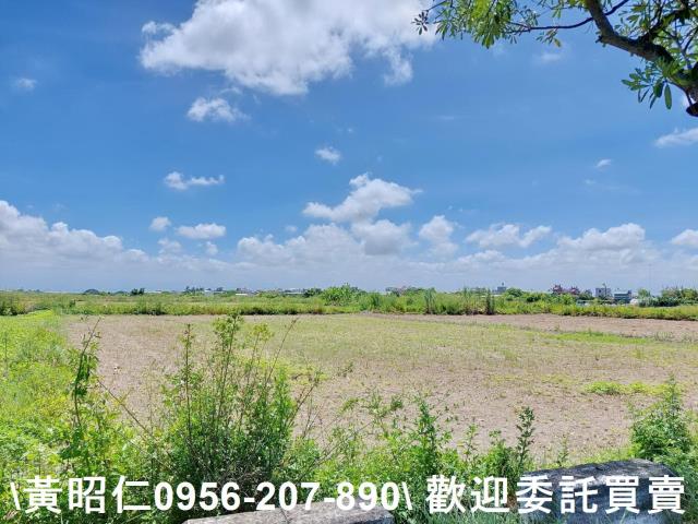 台南佳里農地-1