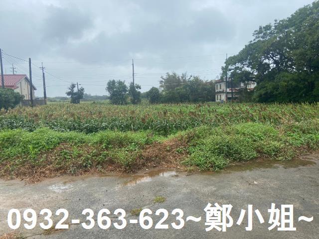 新屋農地-3