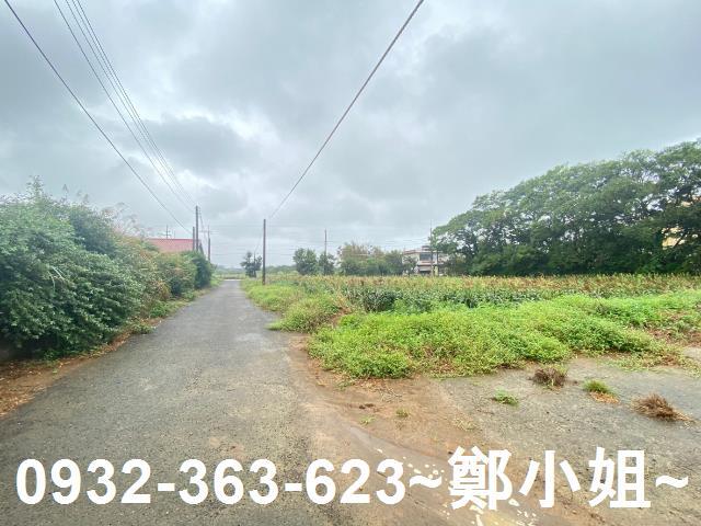 新屋農地-6