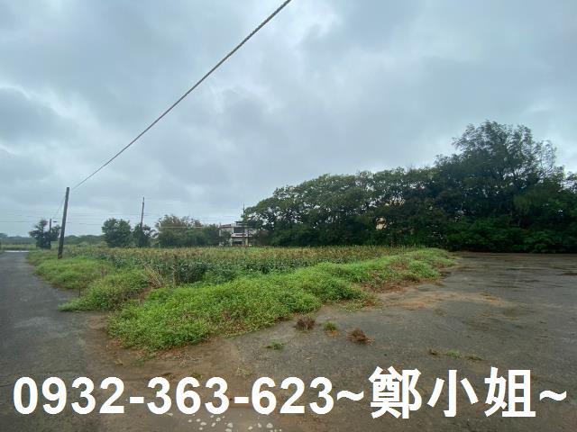 新屋農地-7