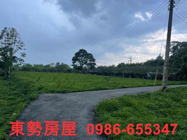 東勢農地-10