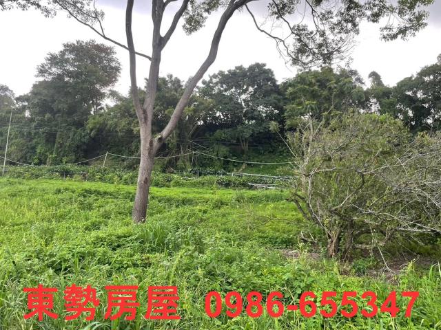 東勢農地-12