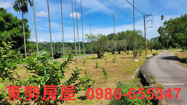 東勢農地-1