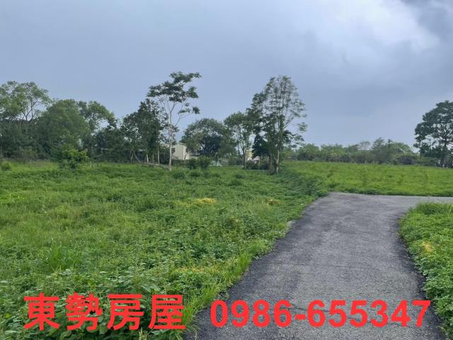 東勢農地-14