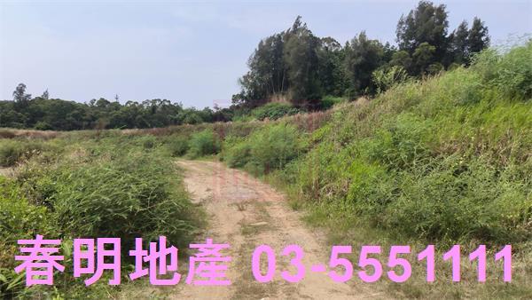 香山農地-1