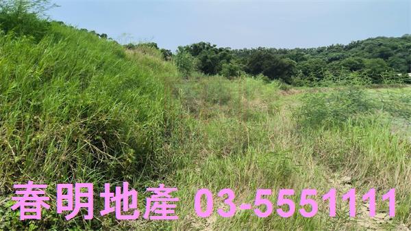 香山農地-2
