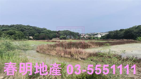 香山農地-6